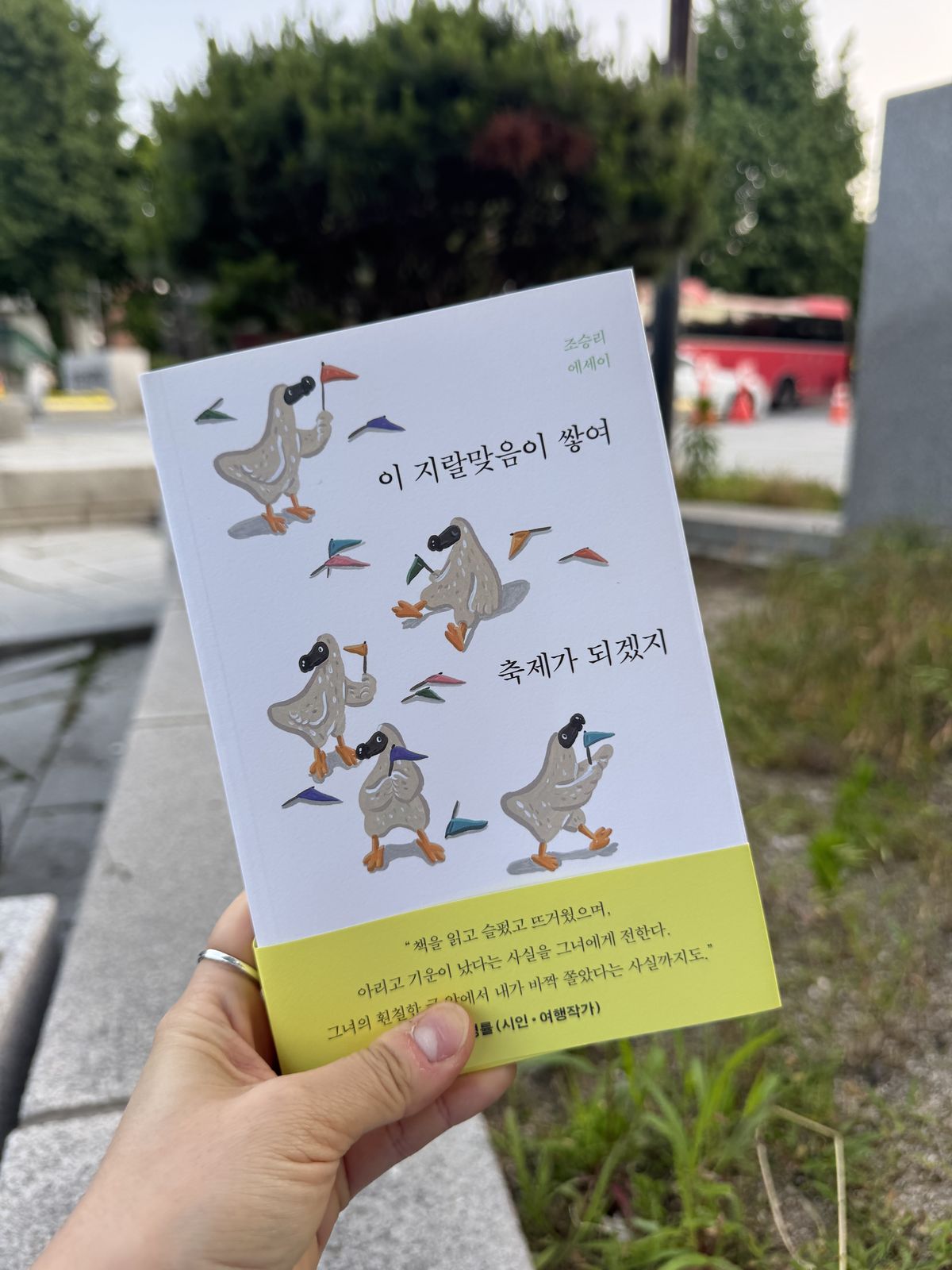 이 지랄맞음이 쌓여 축제가 되겠지